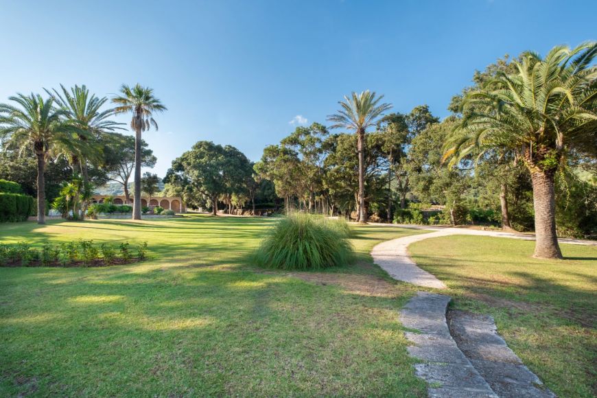 Eventos en Sant Patrici