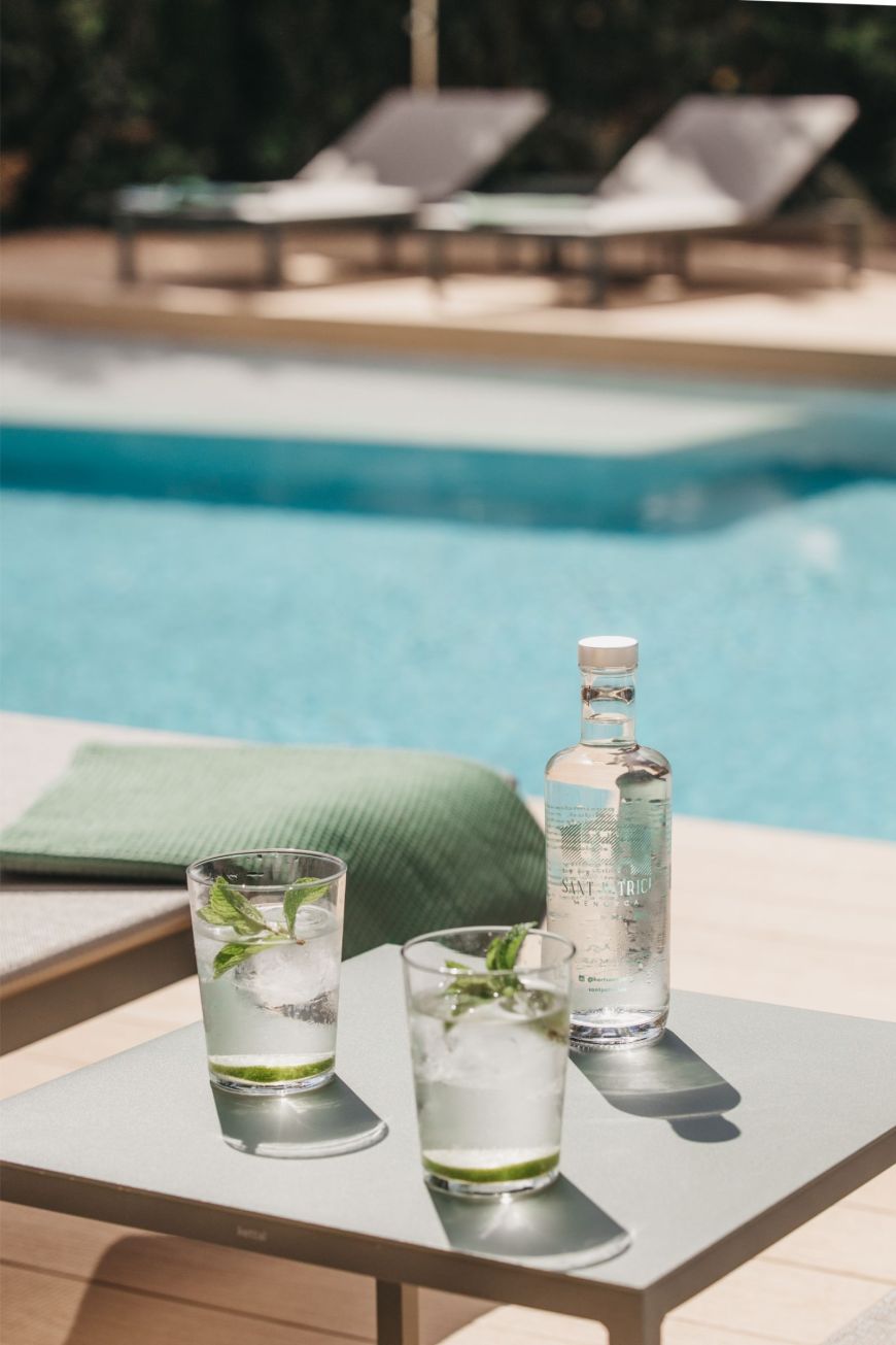 Gintonic piscina